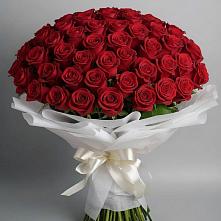 Букет 101 Красная роза Блэк Мэджик в Протвино