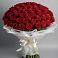 Букет 101 Красная роза Блэк Мэджик в Протвино