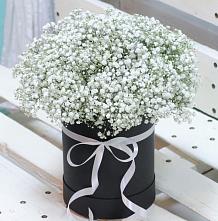 Цветочная композиция из Гипсофила в шляпной коробке #REPLACE_PRED# Протвино
